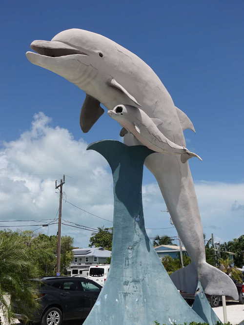 MIA_2023-08-11 11-54-21_RX_05847